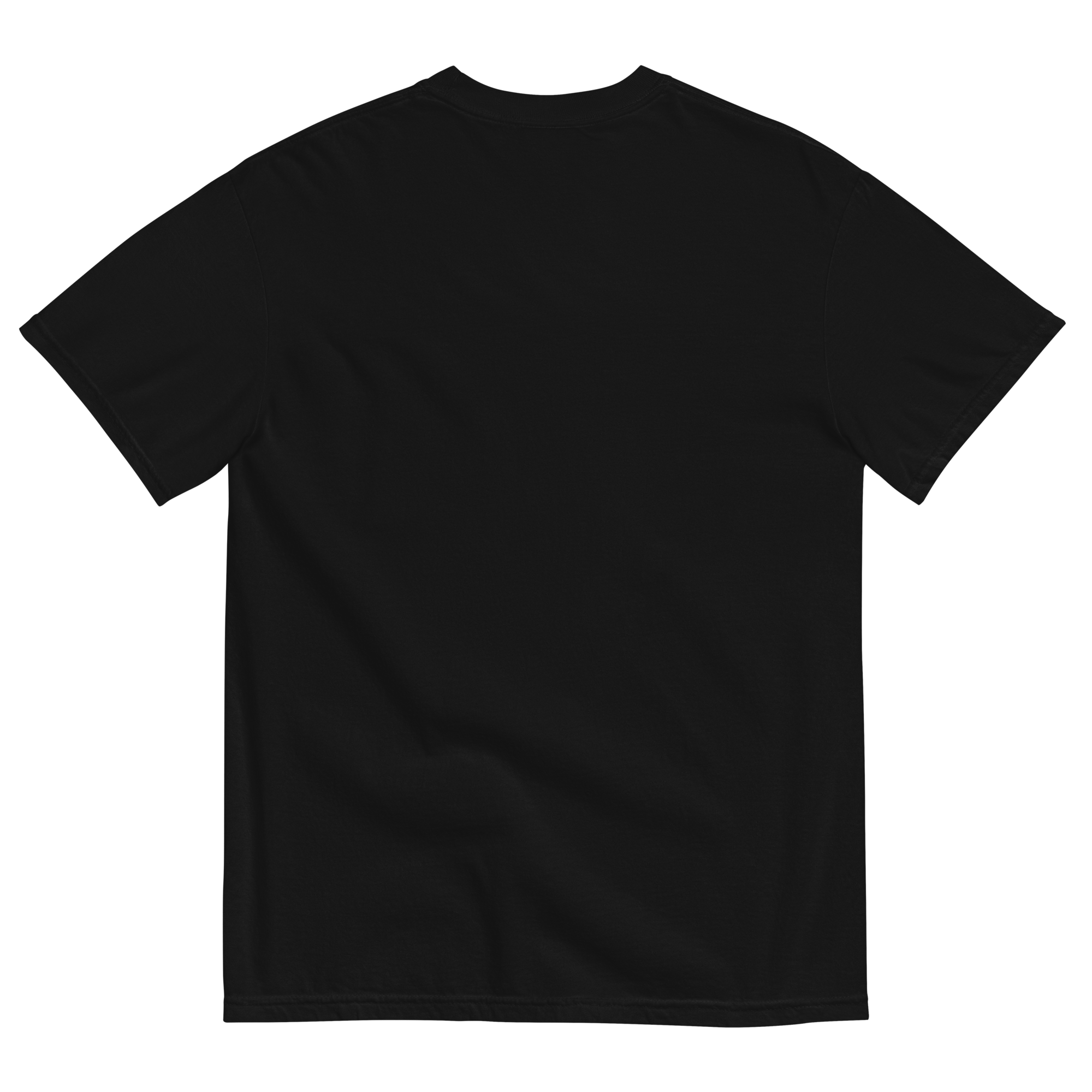 Bont unisex garment-dyed heavyweight BS logo t-shirt