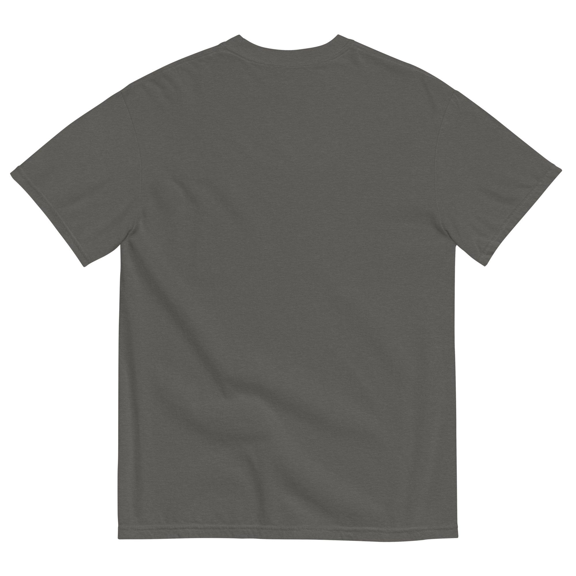 Bont unisex garment-dyed heavyweight BS logo t-shirt